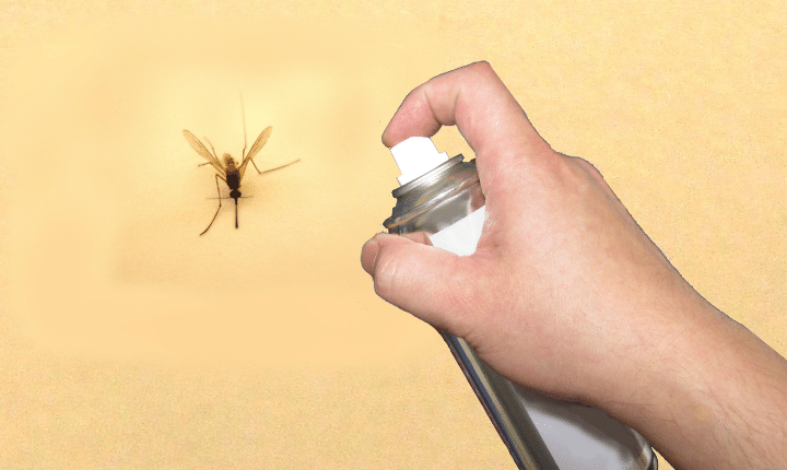 Household Items to Get Rid of Gnats: