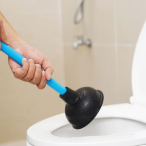 Preventive Measures For Blocked Toilets